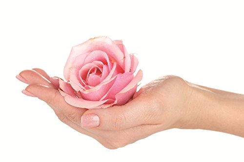 CREARTEC Sapolina-Seifenduftöl Bodyrose 10 ml - 2