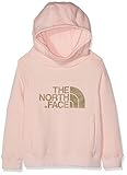 Con diseño femenino The North Face Drew Peak Sudadera con Capucha, Niñas, Rosa (Pink Salt), XS