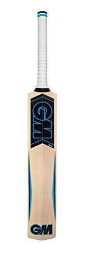 Gunn & Moore Neon 101 Kashmir Willow Cricket Bat