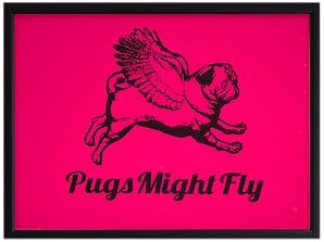 Pugs Might Fly Ltd Pink Poster with Frame