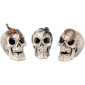 Terrarium Dekoration SCHÄDEL mit Tier +/- 10 x 6 x 8cm #405609