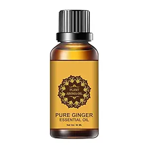 Belly Drainage Ginger Oil,Tummy Ginger Drainage Massage, Oil 30ml