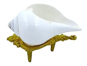 Centorganic Natural Jal sankha/Pani shankh for puja original with stand (3 inch, Very Small)