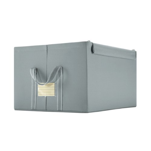 comprare on line Reisenthel Storagebox L, Contenitore, Scatola, Portaoggetti, Grey/Grigio, FT1025 prezzo