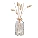 Produktbild Reed Diffuser Aromatherapie Modern Classics Raumduft- mit Rattanstäbchen - 0% Alkohol - Lufterfrischer & Raumerfrischer fur Zuhausem - Büro - Boutique - SPA - Aromatherapie 30 ML
