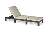 Allibert by Keter Daytona Sunlounger - Graphite with Cream Cushion (Garden &amp; Outdoors)