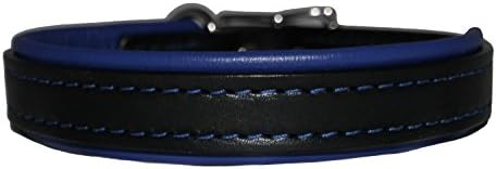 Auburn Leathercraft Padded collar 1" x26" BLK/BLU