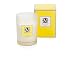 Produktbild möve Scent Duftkerze im Glas 255 g Brenndauer 60 Stunden, verveine