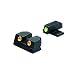 Produktbild Mako-Gruppe Sprgfld Oregano – TD XD ACP G/O FXD. Set
