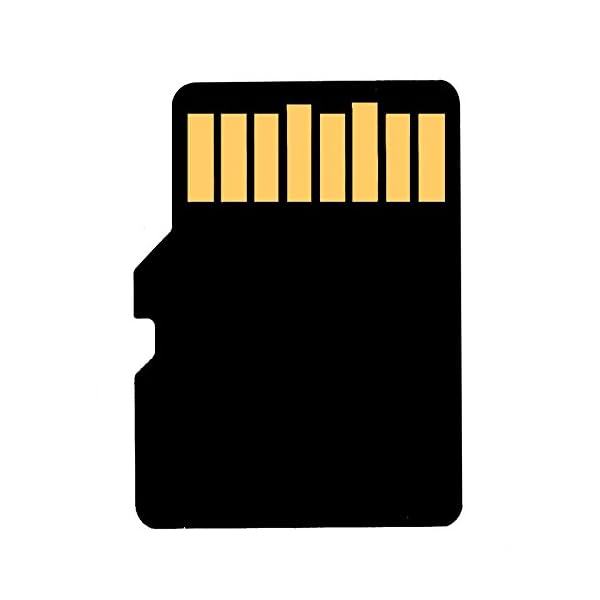 Kingston SDC10G2/8GB - Tarjeta microSD de 8GB (Clase 10 UHS-I 45MB/s) con Adaptador SD - Image 5