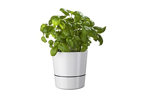 Rosti Mepal Hydro Kräutertopf, Groß, Weiß - 2