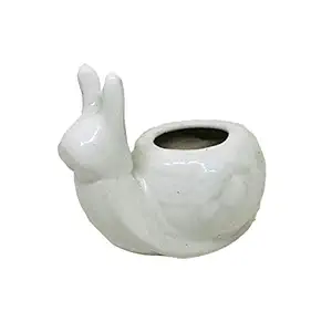 ShopMeFast Glossy Snail Miniature Ceramic Pots Ceramic Planters for Indoor Plants/Planters,Home Decor,Garden Decor,Office Decor,Decorative Succulents Pot (Color: White)(L:10 cm, W:5.5 cm, H:8.5 cm)