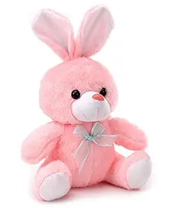 JDs World Soft Toys Lovable, Huggable Bunny Teddy 30CM Pink Plush Stuffed Toy for Boys & Girls On Birthday/Celebrations - Pack of 1