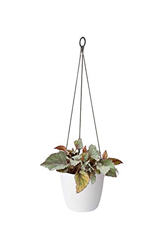 elho Brussels Hanging Basket Maceta Colgante, Blanco, 18,3x18,3x18 cm