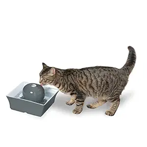 PetSafe Drinkwell Seascape Ceramic Pet Fountain, 70 oz, Gray