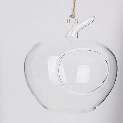Klar Apfel Förmige Glas Hängen Vase Flasche für Pflanze Blume Schmuck - 7