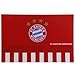 Produktbild FC Bayern Schreibtischauflage Logo