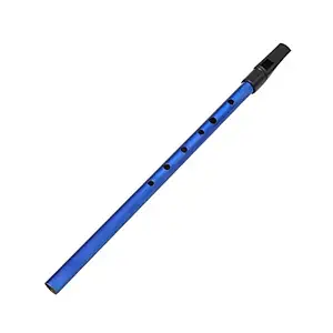 Deluxe Traditional Tin Penny Whistle 6 Holes Wind Music Instrument Brass Key of D Blue