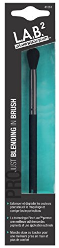 Lab 2 Brush, Just Blending In