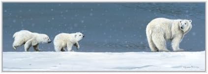 Two Below Zero - Polar Bears Blank Card