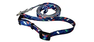 Furry Angels Polyester Adjustable Collar and Leash Set (Size - Small) for Small Dogs - Like Lhasa Apso , Beagle , Pug etc ( Colour - Blue)