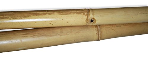 LioLiving®, Handtuchhalter / Dekoleiter aus Bambus (natur) – (150 x 41 cm) (#400039) - 2