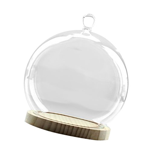 MagiDeal Deko Glasglocke mit Holzboden , Transparent Glas Behälter Micro Landschaft Garten DIY Terrarium Container Dekoration – mit kleinen Kugel, 15x18cm - 9