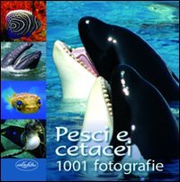 Pesci e cetacei. Ediz. illustrata Pesci e cetacei. Ediz. illustrata