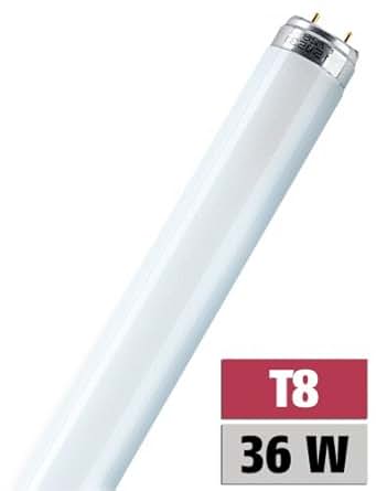 Leuchtstofflampe L 36 Watt 830 warmweiß - Osram: Amazon.de: Beleuchtung