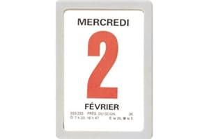 OBERTHUR - 1 Mini-Bloc Calendrier à Effeuiller Ephémérides - Janvier 2024 à Décembre 2024 - Dimension 4.7 x 6.3 cm