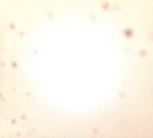 There's a Riot Going On