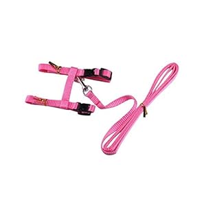 LA VIE Arnés y Correa Ajustables para Gatos, Cuerda de Seguridad de Nylon para Animales pequeños para pasear al Gatito Kitty, Azul