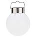 Rrimin Outdoor Solar LED Ball Pond Pool Path Landscape Garden Light Lamp RS.870.00