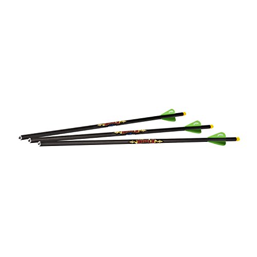 ExcaliburDiablo 18in. Illum Carbon Arrows (for Matrix) 3pk