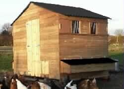 Littleacre Dartford Poultry House, chicken shed for up to 50 hens - L183 x W244 x H198 cm