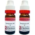 Symphytum 30 (Dr.Reckeweg) | 11ml X 2 | NRHP