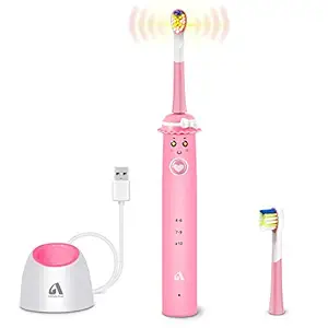 Sonic Whitening Kids Electric Toothbrushes, Wireless USB Rechargeable Toothbrush With 2 Reminder Heads, 3 Modes with Timer(Pink)