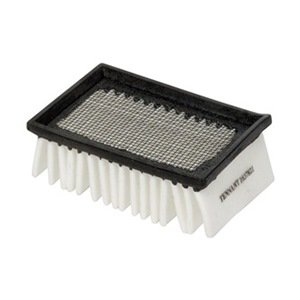 Tennant Dust Panel Filter