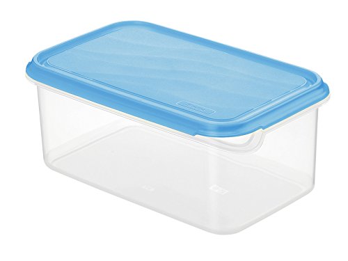 Rotho 1735906644 Frischhaltedose Rondo rechteckig aus Kunststoff PP, BPA-frei, hochwertig, geeignet für Spülmaschine und Gefrierschrank, 2 L, circa 24 x 16 x 9,7 cm, transparent / blau