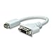 Price comparison product image Adattatore Mini-DVI M a VGA F
