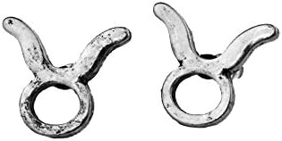 QUALITY 12 CONSTELLATION ZODIAC SYMBOL STUD EARRINGS SILVER BRONZE, Taurus(Silver)