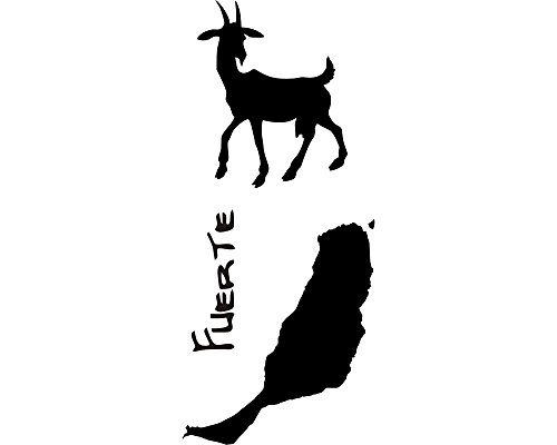 Wandtattoo Fuerteventura Aufkleberset in 7 Größen und 19 Farben (35x80cm mittelgrau) - 3