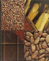 Du chocolat : Discours curieux francais Du chocolat : Discours curieux francais