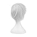 DAOKAI® Tokyo Ghoul Kaneki Ken Soul Gintoki Sakata Gintama short cosplay Straight Silver Grey wig with free cap