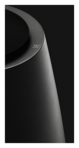 B&O Play BeoPlay S8 Stereolautsprechersystem (1 Subwoofer + 2 Satellitenlautsprecher) True Black