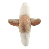 Babykissen von evo-cative für einen natürliche runde Kopfform und zur Vorbeugung gegen Plattkopf - 4