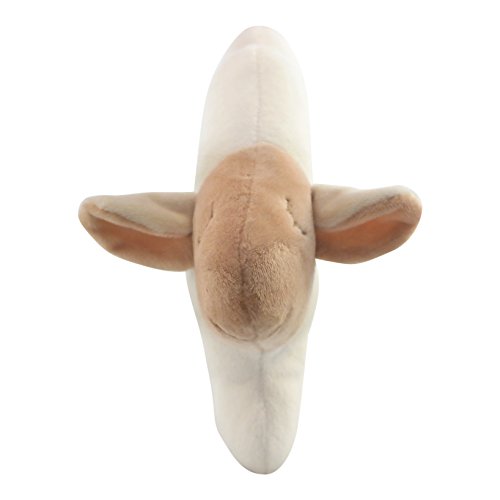 Babykissen von evo-cative für einen natürliche runde Kopfform und zur Vorbeugung gegen Plattkopf - 4