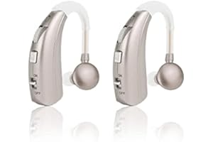 Britzgo Appareil rechargeable avec suppression intelligente du bruit, 40 heures d'utilisation toute la journée, type C rechargeable, Argenté