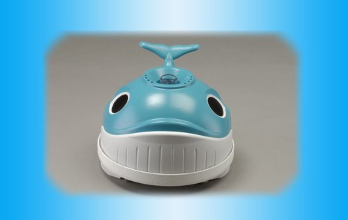 Hayward Bodensauger Whaly - 2