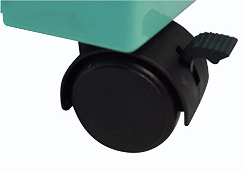 Grooming-Station--Station-Grooming-for-Dogs-and-Cats--Turquoise